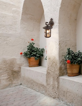 Arbotante Incandescente y LED Calux