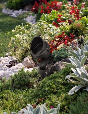 Arbotante Incandescente y LED Luzire