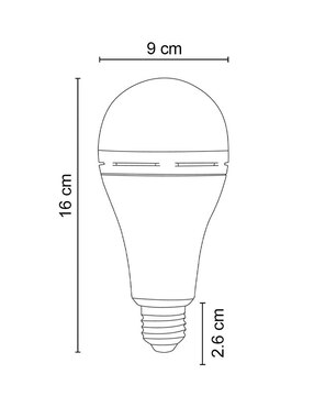 Foco de emergencia Icon 5 W de consumo 10 W de iluminación 850 lúmenes