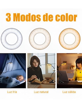 Lámpara de escritorio LED Xtellar Xtllar948
