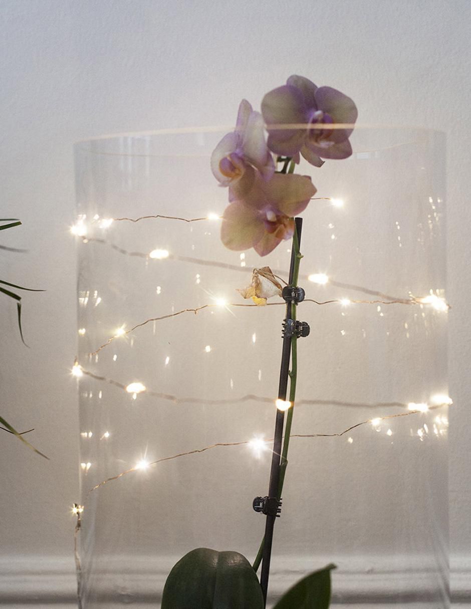 Set de luces LED con 20 luces 4