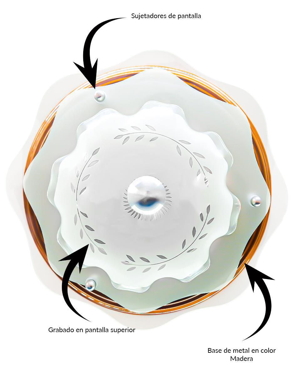 Lámpara de techo incandescente y led Flor 2