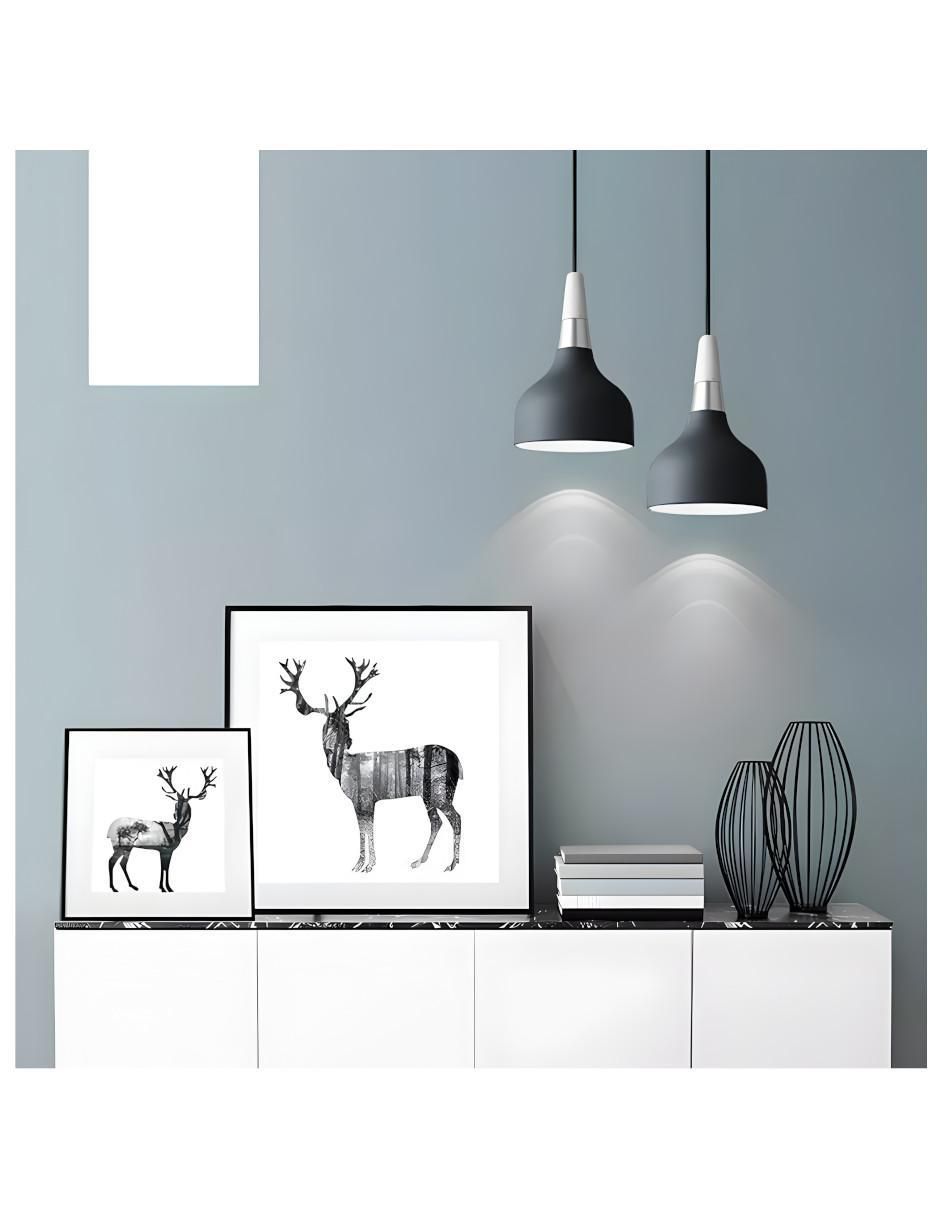 Lámpara colgante Incandescente y LED 4