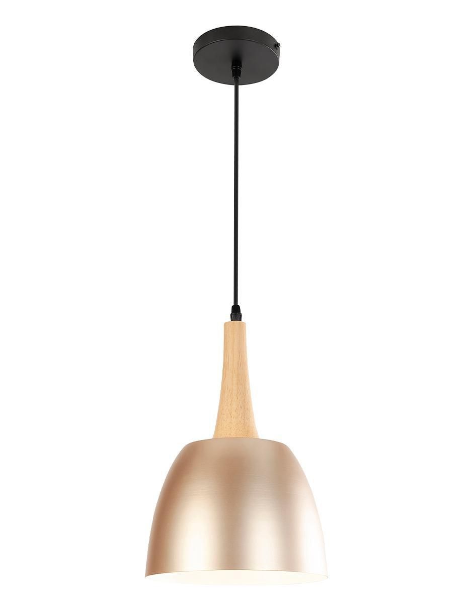 Lámpara colgante incandescente y LED 2